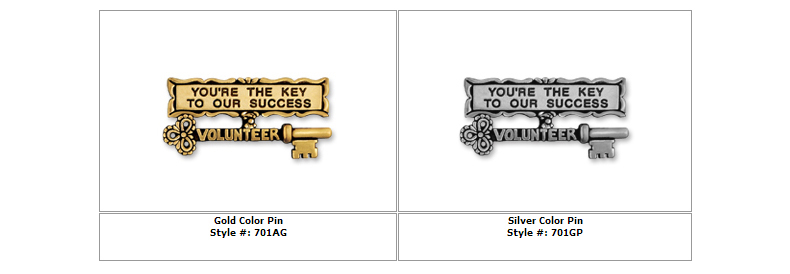 Silver Color Pin Silver Color Pin